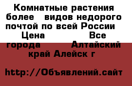 Комнатные растения более200видов недорого почтой по всей России › Цена ­ 100-500 - Все города  »    . Алтайский край,Алейск г.